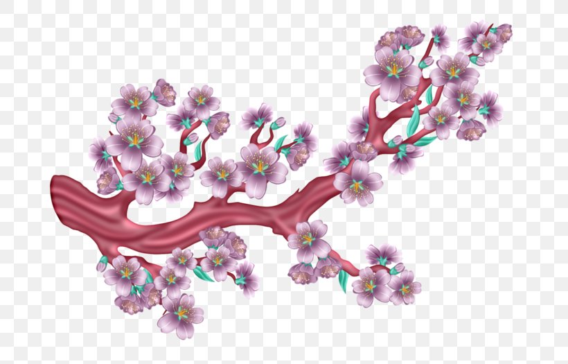 Blossom, PNG, 700x525px, Blossom, Body Jewelry, Branch, Cherry Blossom, Flower Download Free