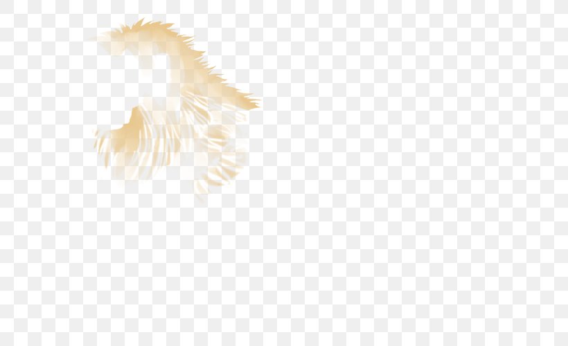 Feather Beak, PNG, 640x500px, Feather, Beak, White, Wing Download Free