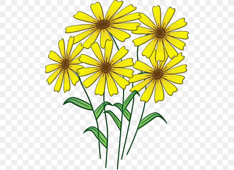 Flower Yellow Plant Flowering Plant Wildflower, PNG, 504x596px, Watercolor, Chamomile, Flower, Flowering Plant, Paint Download Free