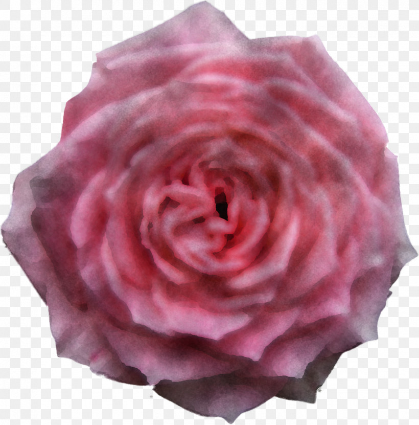 Garden Roses, PNG, 1417x1437px, Garden Roses, Artificial Flower, Camellia, Cut Flowers, Floribunda Download Free