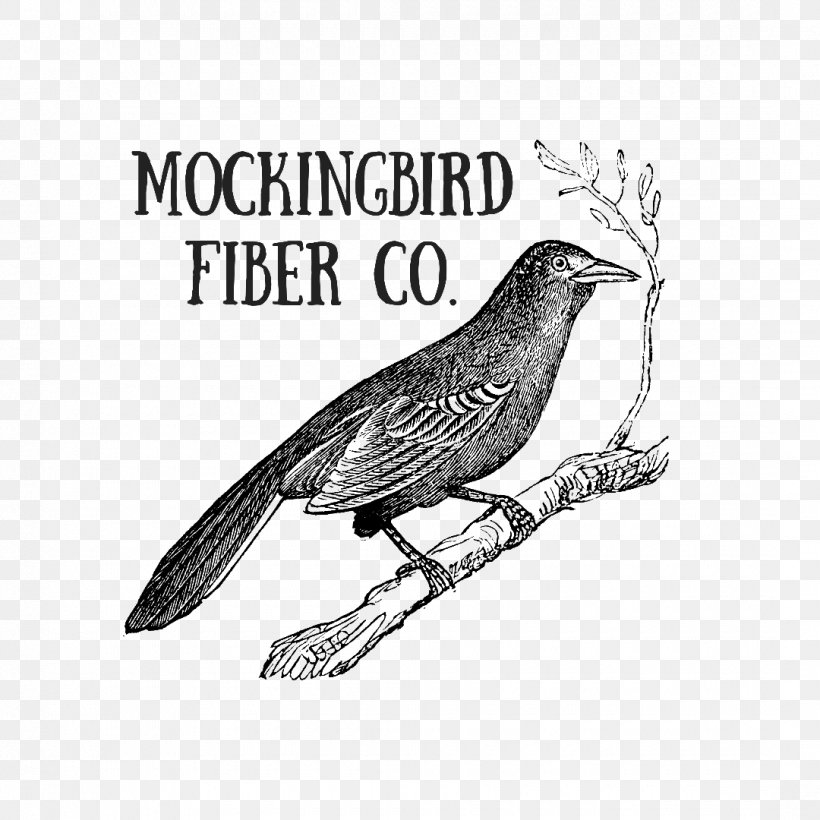Bird Line Drawing, PNG, 1080x1080px, Northern Mockingbird, Beak, Bird, Coloring Book, Cuckoo Download Free