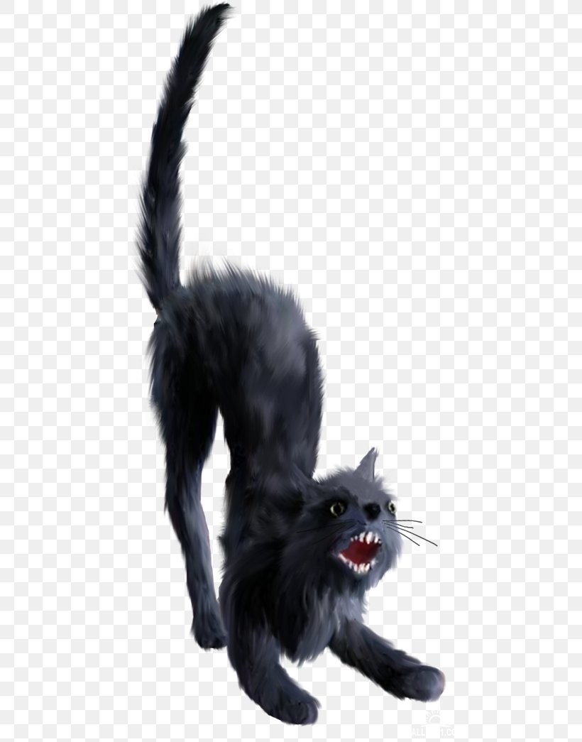 Black Cat Kitten Bombay Cat Whiskers Nebelung, PNG, 500x1045px, Black Cat, Animal, Bombay Cat, Carnivoran, Cat Download Free