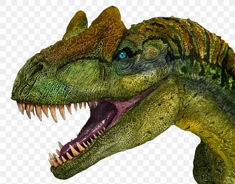 Allosaurus Tyrannosaurus Carnotaurus Dinosaur Ceratosaurus, PNG, 1280x1006px, Allosaurus, Acrocanthosaurus, Allosauridae, Carcharodontosaurus, Carnotaurus Download Free