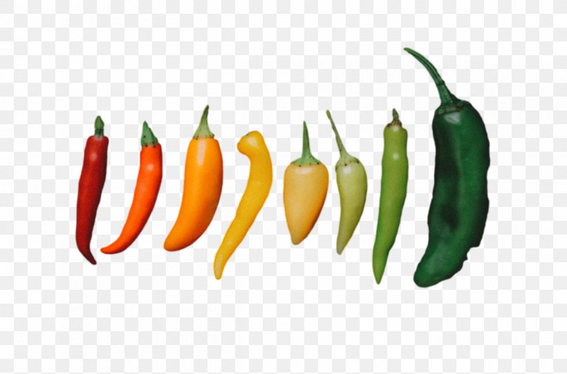 Cayenne Pepper Habanero Peppers Yellow Pepper Malagueta Pepper, PNG, 1200x794px, Cayenne Pepper, Birds Eye Chili, Habanero, Malagueta Pepper, Natural Food Download Free