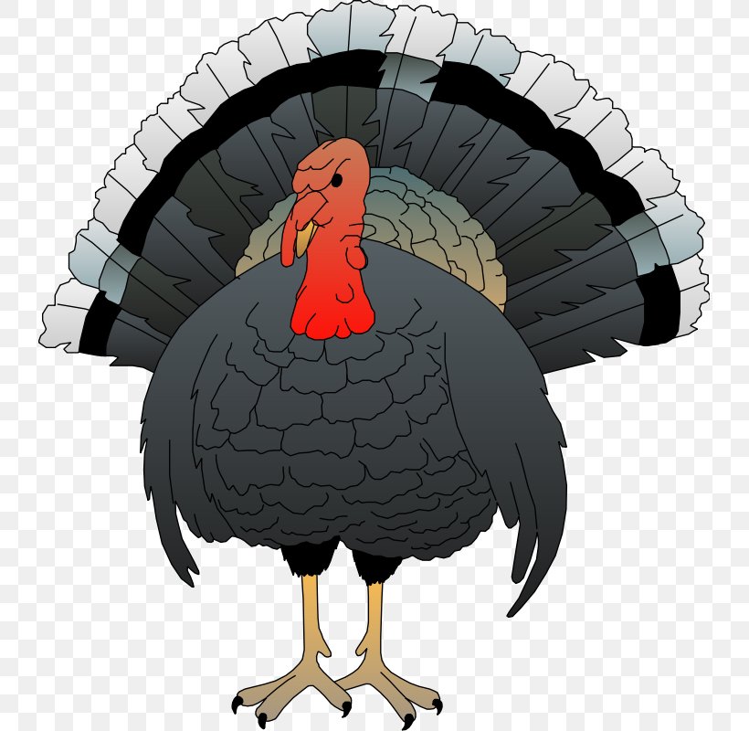 Clip Art, PNG, 735x800px, Drawing, Art, Beak, Bird, Domesticated Turkey Download Free