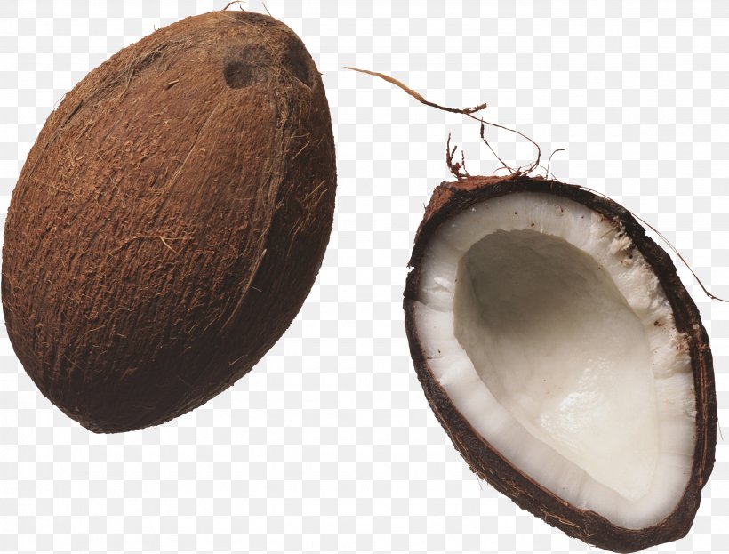 Coconut Milk Juice Nucule, PNG, 2773x2108px, Coconut Milk, Animation, Coco, Coconut, Coconut Oil Download Free