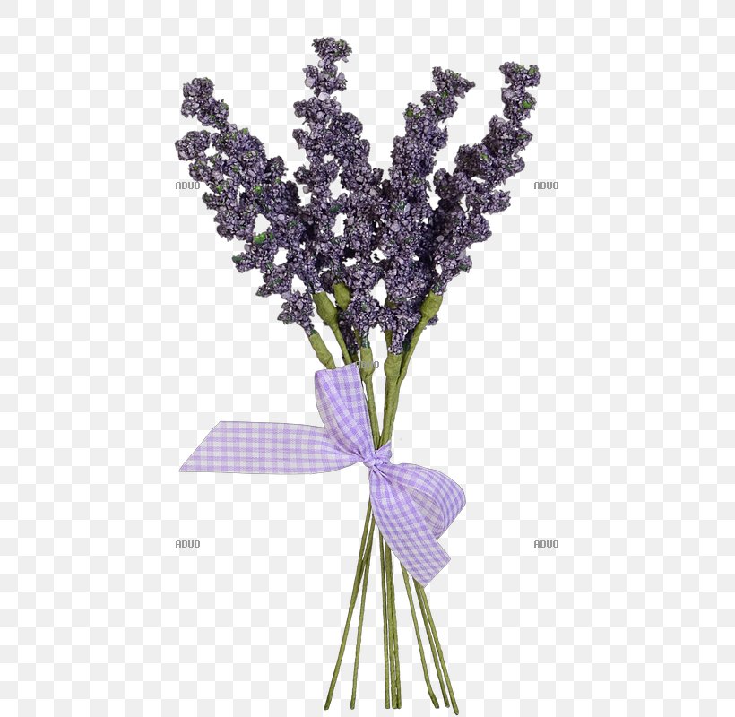 English Lavender Provence Plant Cut Flowers Lilac, PNG, 800x800px, English Lavender, Artificial Flower, Cut Flowers, Flower, Flower Bouquet Download Free