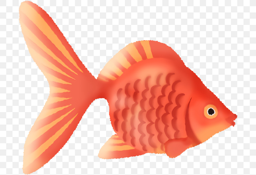 Fish Fish Fin Goldfish Fish Products, PNG, 700x562px, Fish, Animal Figure, Bonyfish, Butterflyfish, Coral Reef Fish Download Free