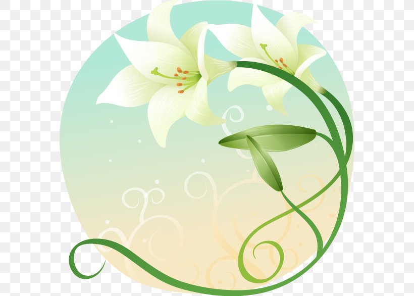 Flower Lilium Photography Clip Art, PNG, 584x586px, Flower, Flora, Floral Design, Flowering Plant, Fotosearch Download Free