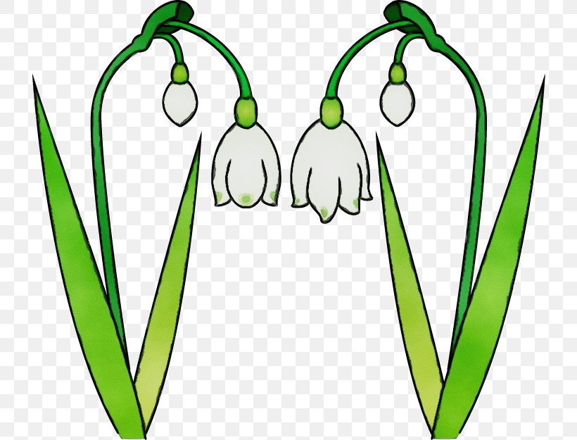 Galanthus Snowdrop Flower Green Summer Snowflake, PNG, 731x625px, Watercolor, Flower, Galanthus, Green, Leaf Download Free