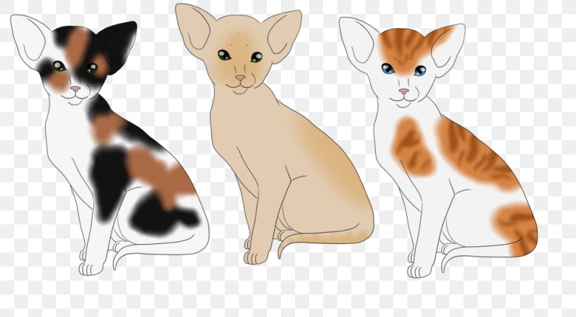 Whiskers Kitten Dog Canidae Paw, PNG, 1024x565px, Whiskers, Animal, Animal Figure, Canidae, Carnivoran Download Free
