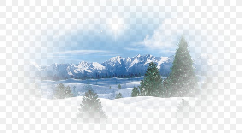 Winter Desktop Wallpaper Tree Painting, PNG, 800x450px, Winter, Arctic, Cloud, Computer, Forest Download Free