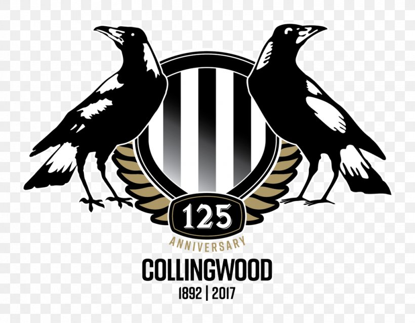 2018 Collingwood Football Club Season Westpac Centre 2017 AFL Season 2017 Collingwood Football Club Season, PNG, 1023x797px, 2017, 2017 Afl Season, Collingwood Football Club, Australian Football League, Beak Download Free