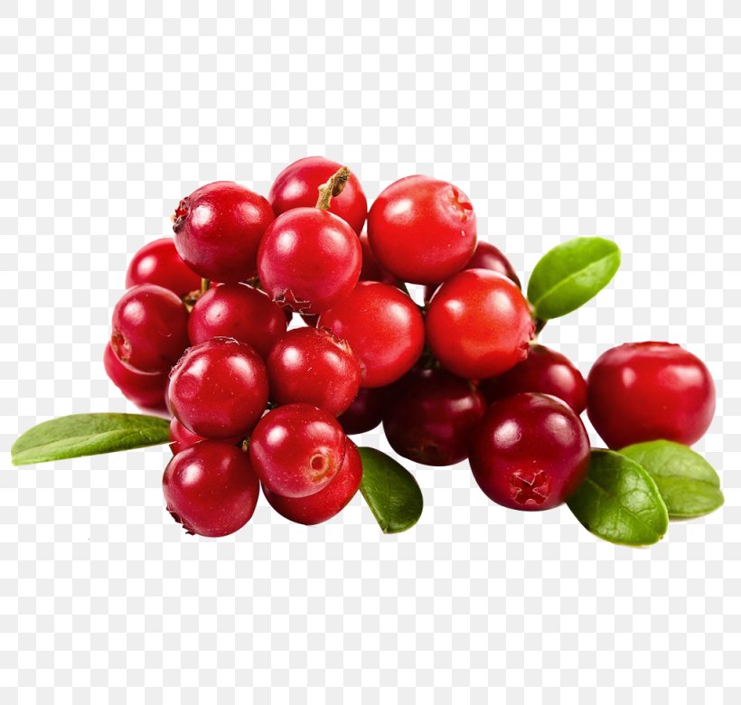 Cranberry Juice Fruit, PNG, 1024x975px, Juice, Acerola, Acerola Family, Berry, Blueberry Download Free