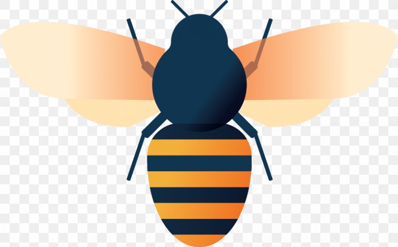Honey Bee Clip Art, PNG, 835x519px, Honey Bee, Arthropod, Bee, Fly, Honey Download Free