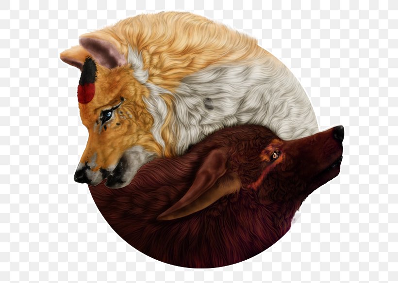 Red Fox Dog Fur Snout, PNG, 644x584px, Red Fox, Carnivoran, Dog, Dog Like Mammal, Fox Download Free