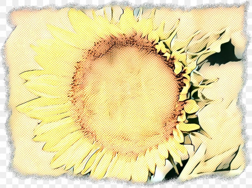 Yellow Sunflower, PNG, 1238x925px, Yellow, Cushion, Flower, Pillow, Plant Download Free