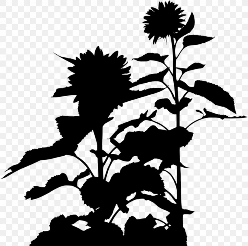 Clip Art Silhouette Plant Stem Flowering Plant, PNG, 1200x1191px, Silhouette, Annual Plant, Blackandwhite, Botany, Flower Download Free