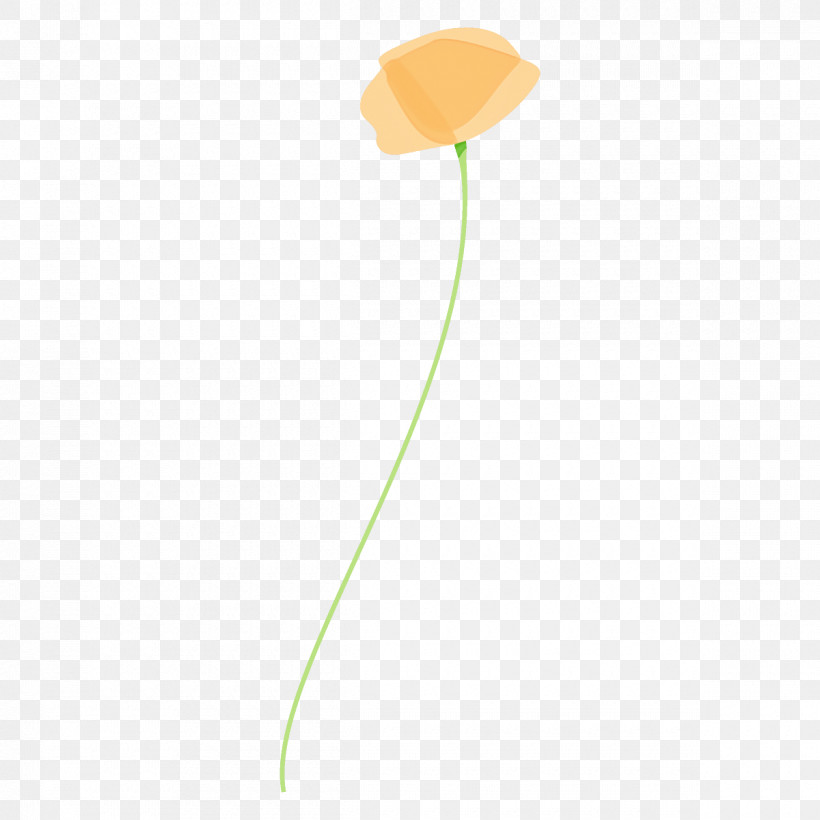 Poppy Flower, PNG, 1200x1200px, Poppy Flower, Flower, Leaf, Plant, Plant Stem Download Free