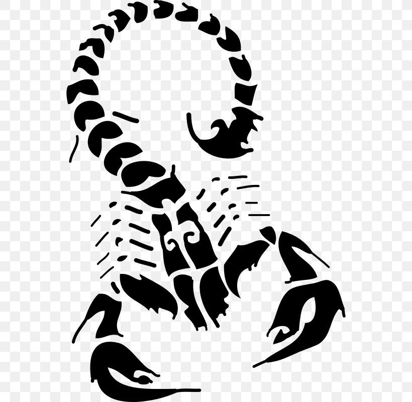 Scorpion Tattoo Flash Clip Art, PNG, 556x800px, Scorpion, Art, Artwork, Biomechanical Art, Black Download Free