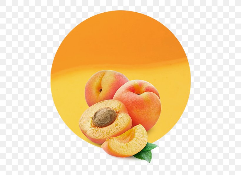 Apricot Kernel Flavor Dried Apricot, PNG, 536x595px, Apricot, Amygdalin, Apple, Apricot Kernel, Diet Food Download Free