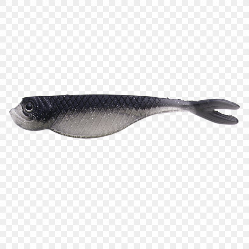 Herring Fish, PNG, 900x900px, Herring, Fish Download Free