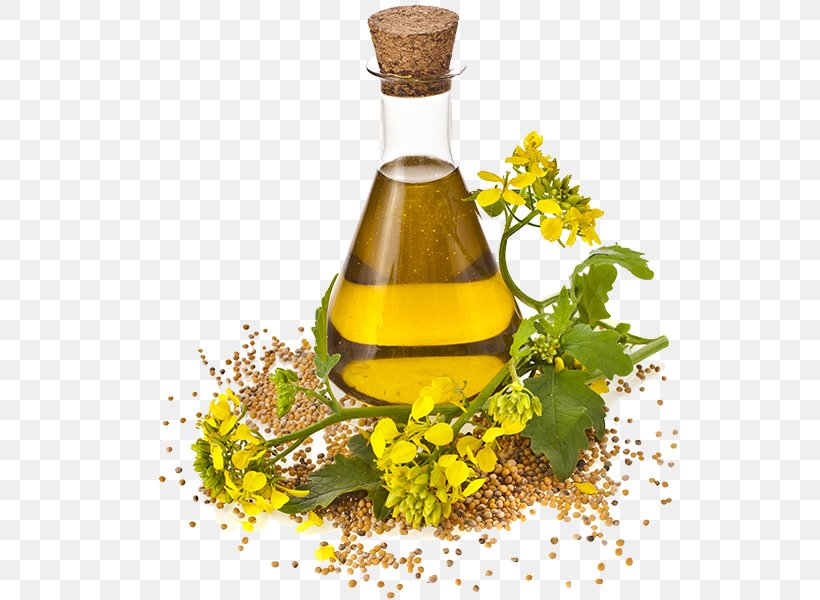 Canola Cooking Oils Rapeseed Seed Oil, PNG, 600x600px, Canola, Alternative Medicine, Colza Oil, Cooking Oil, Cooking Oils Download Free