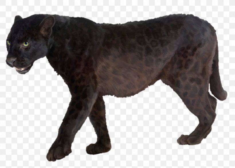 Leopard Jaguar Black Panther Stock Photography, PNG, 900x644px, Leopard, Big Cats, Black Panther, Carnivoran, Cat Like Mammal Download Free