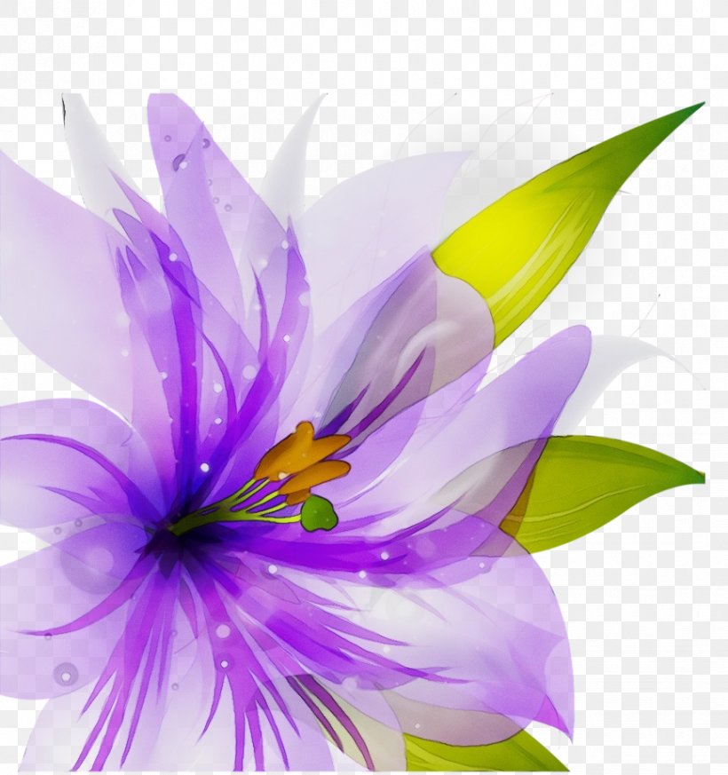 Purple Watercolor Flower, PNG, 866x923px, Watercolor Painting, Aquatic ...