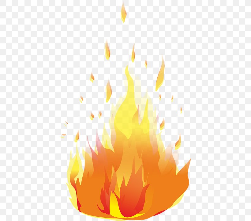 Clip Art Image Vector Graphics Psd, PNG, 429x720px, Fire, Application Programming Interface, Drawing, Flame, Flower Download Free