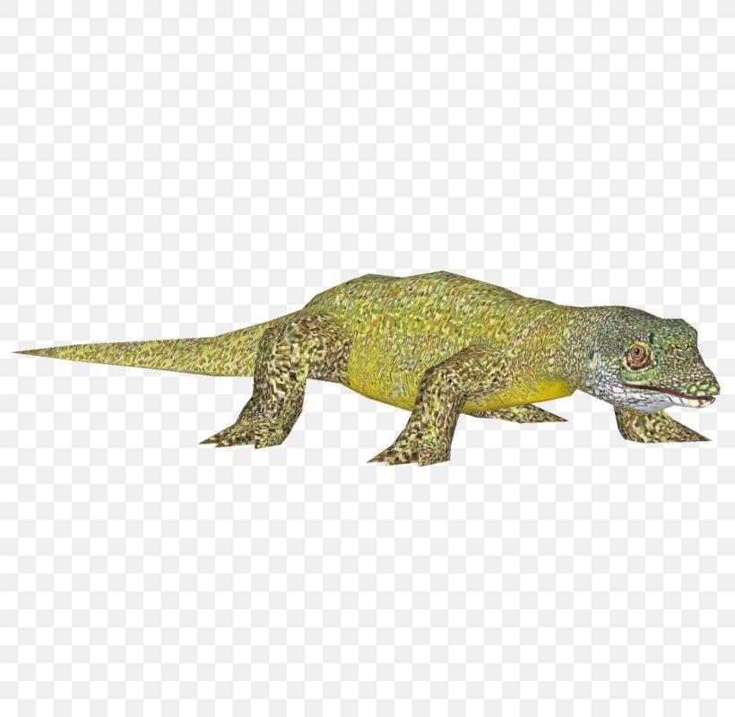 Agamidae Gecko Terrestrial Animal, PNG, 800x800px, Agamidae, Animal, Animal Figure, Fauna, Gecko Download Free