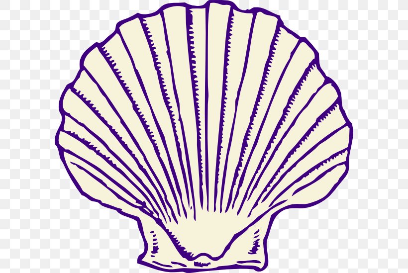 Clam Seashell Free Content Clip Art, PNG, 600x549px, Clam, Area, Artwork, Drawing, Facebook Download Free