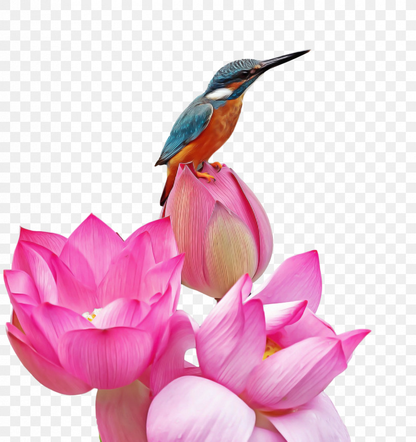 Floral Design, PNG, 1806x1919px, Hummingbirds, Beak, Beeeater, Birds, Cut Flowers Download Free