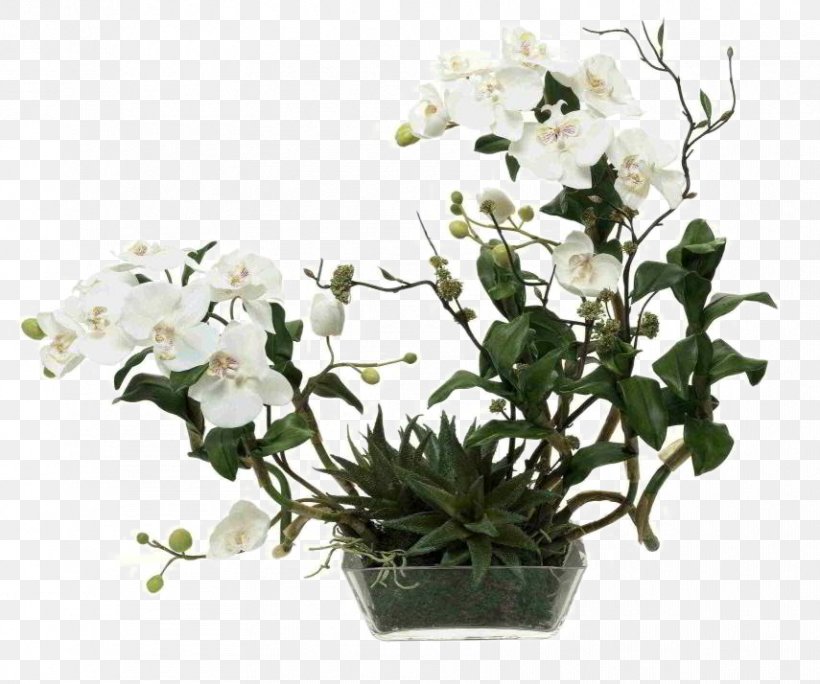 Moth Orchids Artificial Flower Glass, PNG, 855x714px, Moth Orchids, Arrangement, Artificial Flower, Bottle, Branch Download Free