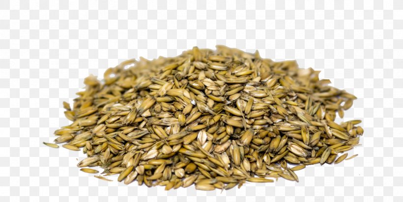 Oat Anise Fennel Tempering Caraway, PNG, 1193x600px, Oat, Anise, Avena, Caraway, Cereal Download Free