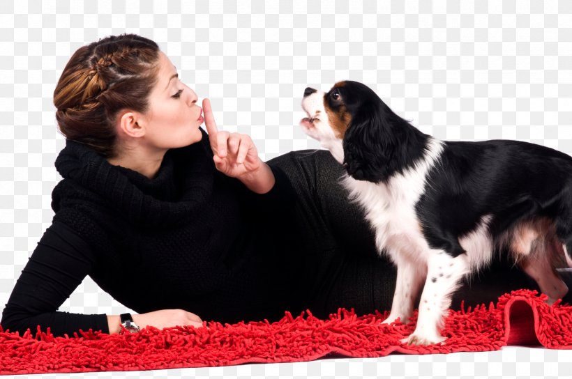 Puppy Siberian Husky Basenji Why Do Dogs Bark?, PNG, 1701x1129px, Puppy, Animal, Bark, Basenji, Canine Professional Download Free