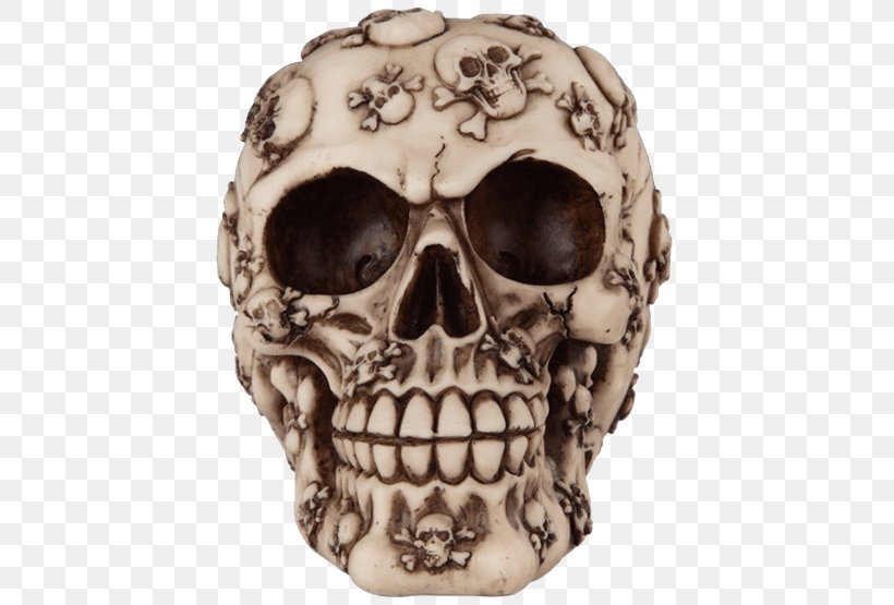 Skull Buccaneer Piracy Treasure Skeleton, PNG, 555x555px, Skull, Anne Bonny, Blackbeard, Bone, Buccaneer Download Free