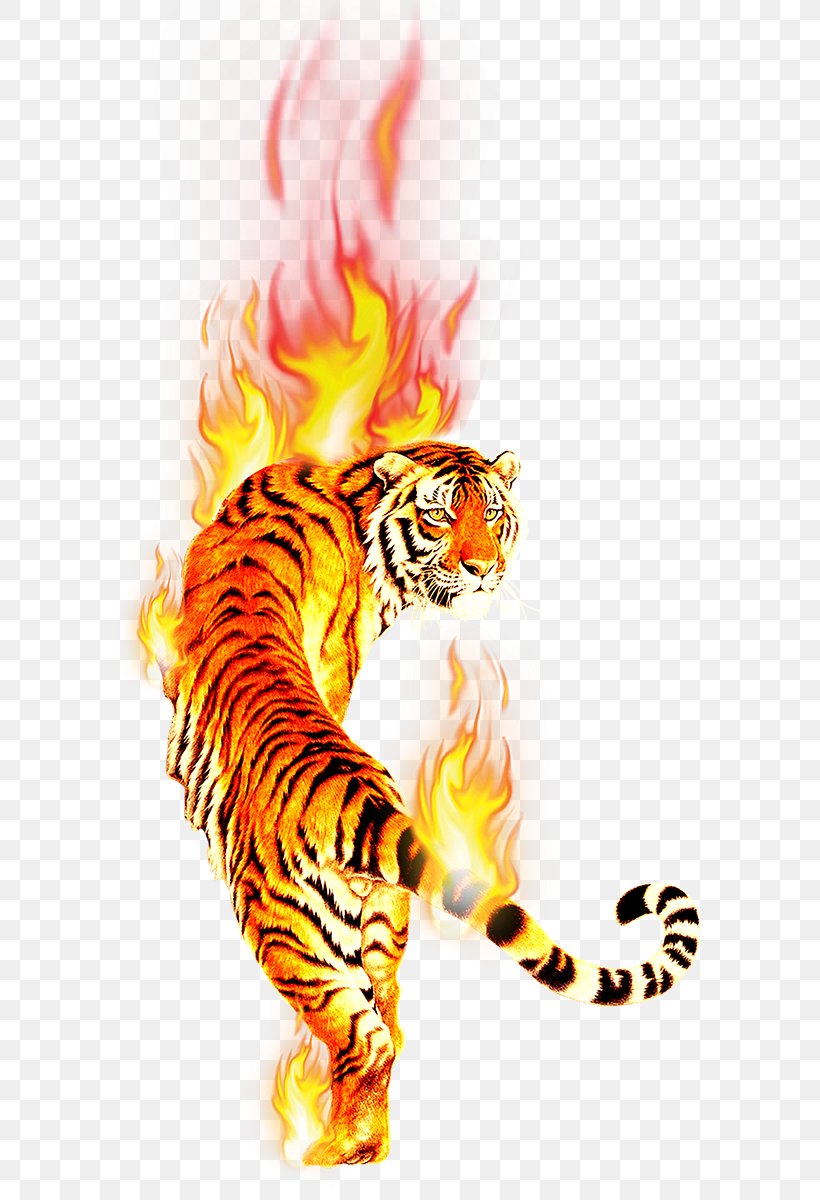 Tiger Desktop Wallpaper Clip Art Image, PNG, 583x1200px, Tiger, Animal, Art, Big Cat, Big Cats Download Free