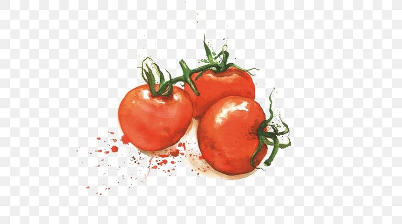 Tomato Varenye Fruit Vegetable Illustration, PNG, 564x457px, Tomato, Bush Tomato, Cooking, Diet Food, Drawing Download Free