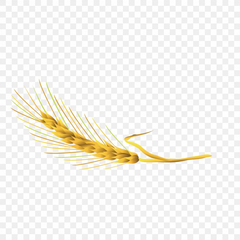 Yellow Commodity Grasses Family, PNG, 2126x2126px, Yellow, Commodity, Family, Feather, Grass Family Download Free