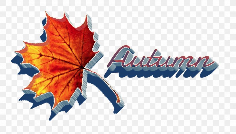 Image Desktop Wallpaper Clip Art, PNG, 1920x1097px, Maple Leaf, Autumn, Autumn Leaf Color, Leaf, Logo Download Free