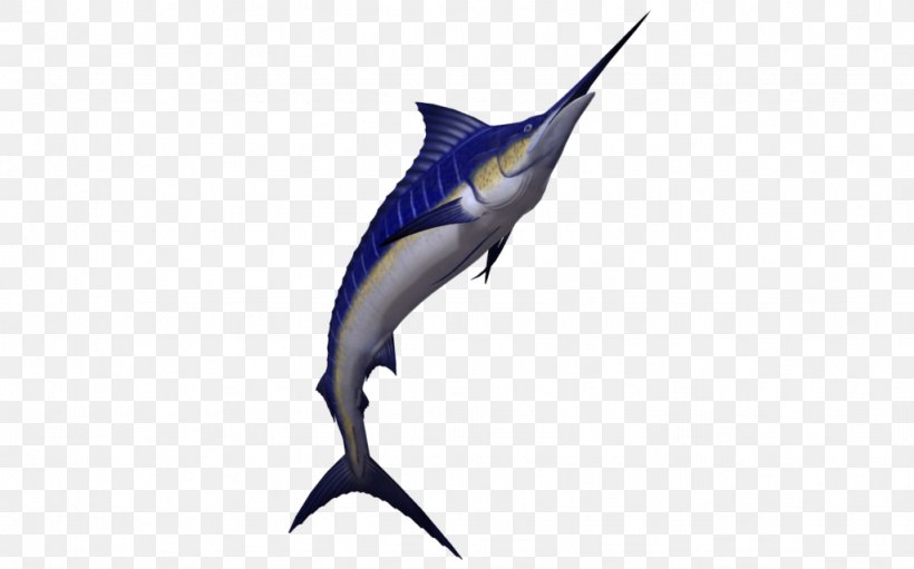 Swordfish Shark Image, PNG, 1024x639px, Swordfish, Atlantic Blue Marlin, Billfish, Bird, Cartilaginous Fishes Download Free