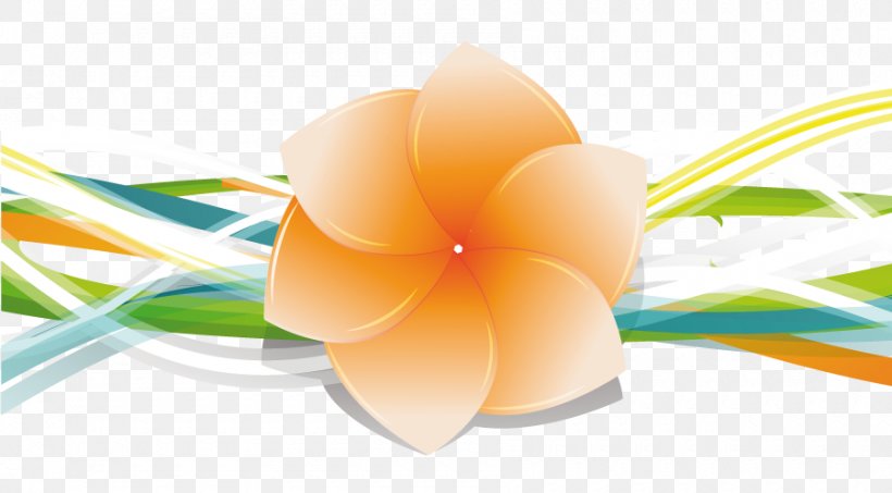 Vector Graphics Image Euclidean Vector, PNG, 900x498px, Color, Flower, Flowering Plant, Orange, Peach Download Free