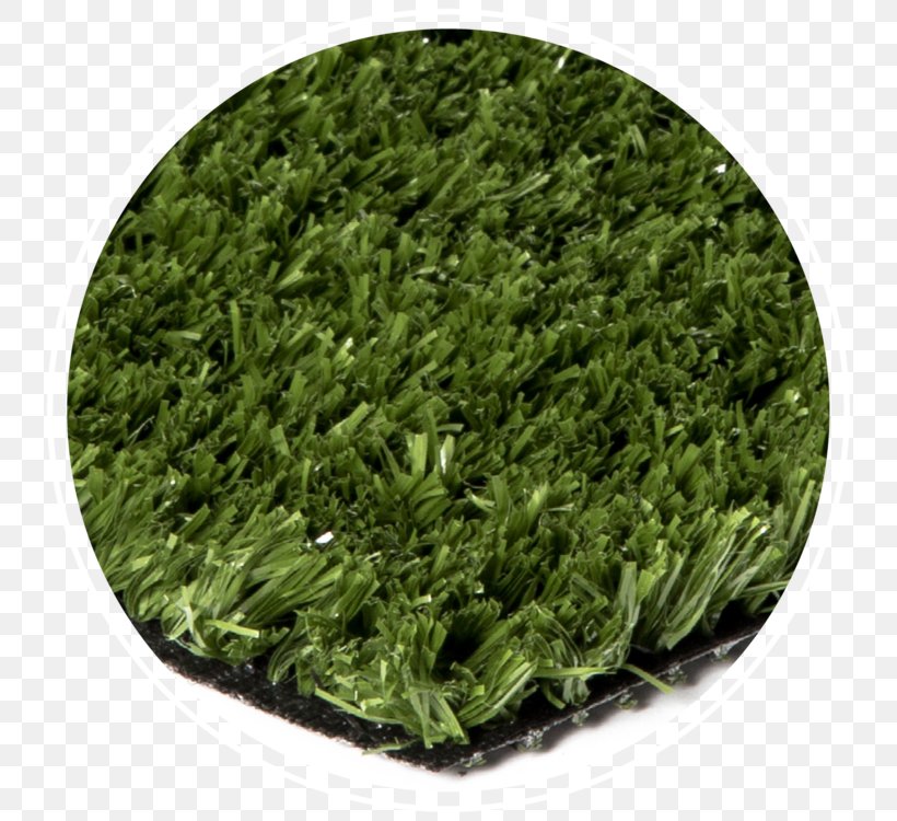 Artificial Turf Lawn Golf Course Turf Bentgrass, PNG, 750x750px, Artificial Turf, Bentgrass, Fiber, Golf, Golf Course Download Free