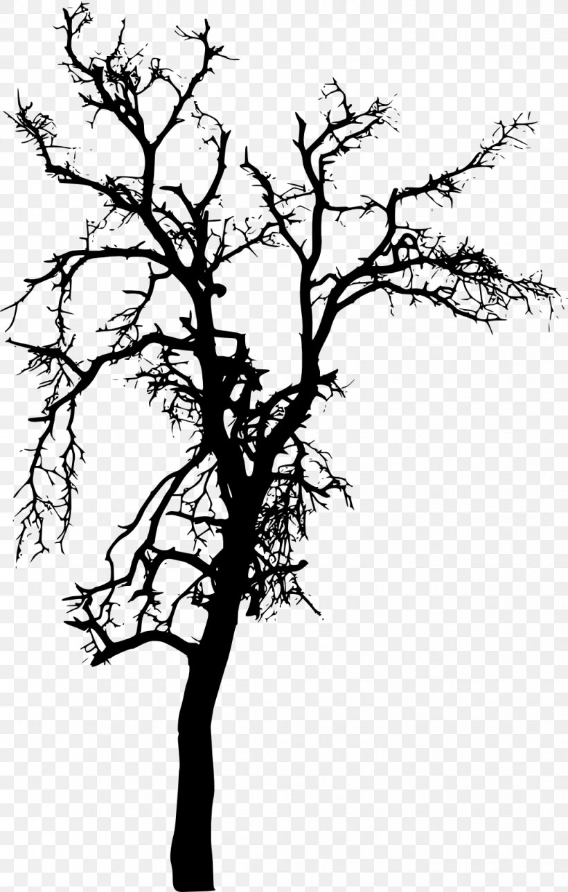 Tree Plant Branch Silhouette, PNG, 1033x1623px, Tree, Black And White, Branch, Drawing, Evergreen Download Free