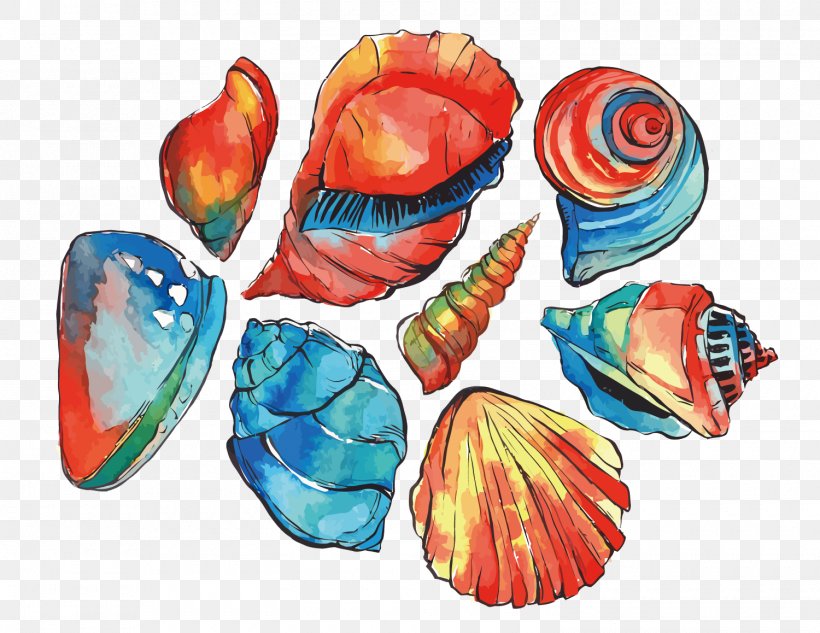 Watercolor Painting Illustration, PNG, 1500x1158px, Watercolor Painting, Designer, Material, Petal, Seashell Download Free