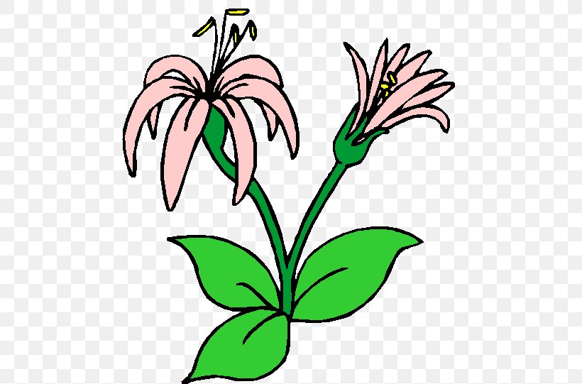 Floral Design Cut Flowers Plant Stem Leaf Herbaceous Plant, PNG, 490x541px, Floral Design, Botany, Cut Flowers, Flower, Flowering Plant Download Free