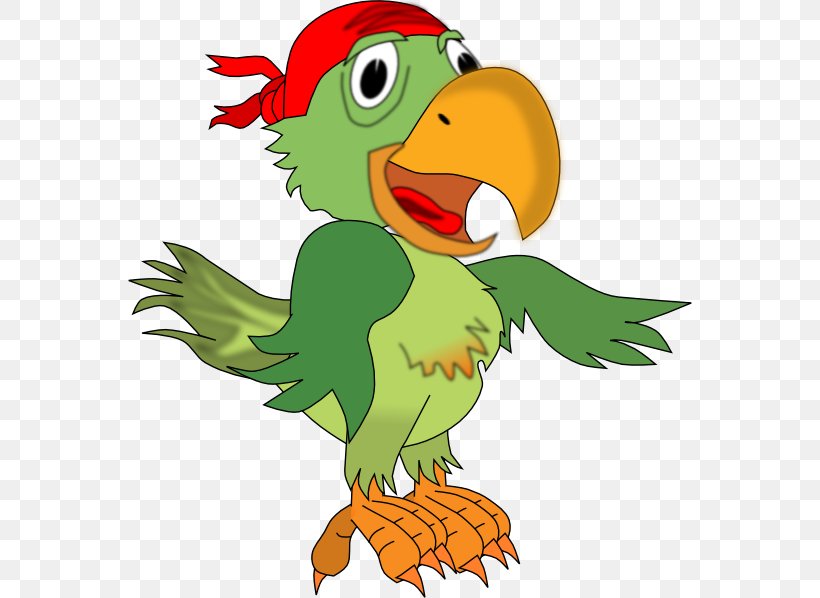MacNider Art Museum Parrot Jokes: Clean Jokes Chicken Jokes, PNG, 564x598px, Parrot, Art, Beak, Bird, Cartoon Download Free