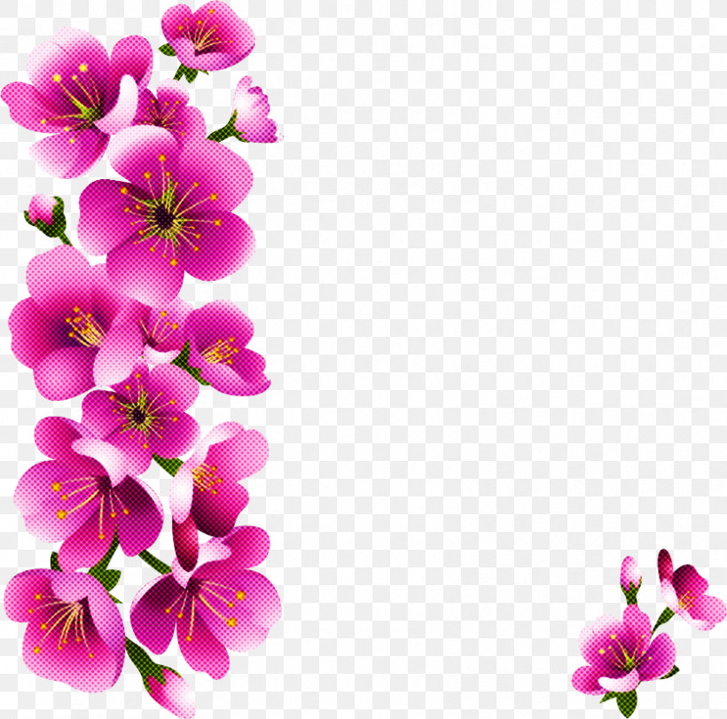 Petal Flower Pink Plant Blossom, PNG, 836x827px, Petal, Blossom, Branch, Flower, Geranium Download Free
