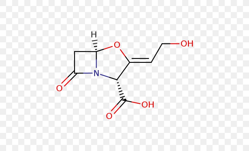 Alendronic Acid Clavulanic Acid Beta-lactamase β-Lactamase Inhibitor β-lactam Antibiotic, PNG, 500x500px, Alendronic Acid, Amoxicillin, Amoxicillinclavulanic Acid, Ampicillin, Antibiotics Download Free